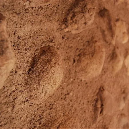 Corte Colori ゲストハウス Colà