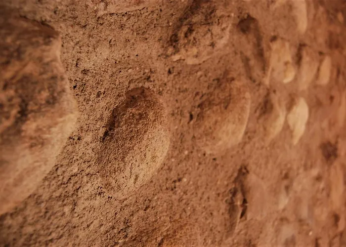 Corte Colori Pensión Colà